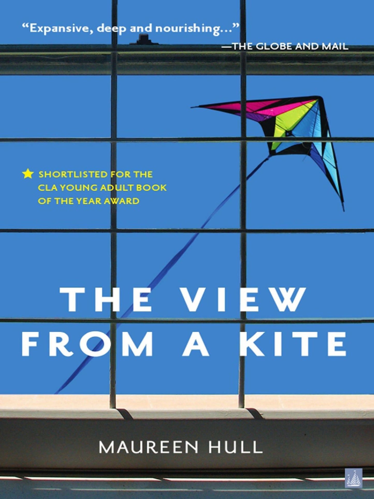 View from a Kite