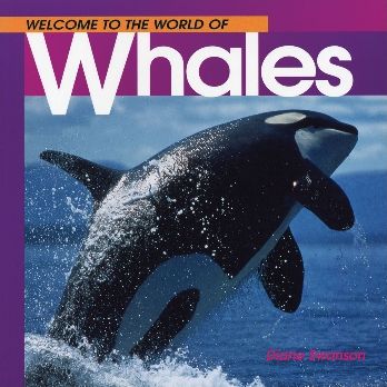 Whales