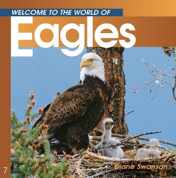 Eagles