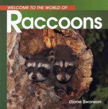Raccoons