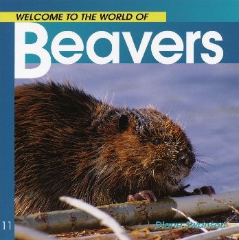 Beavers