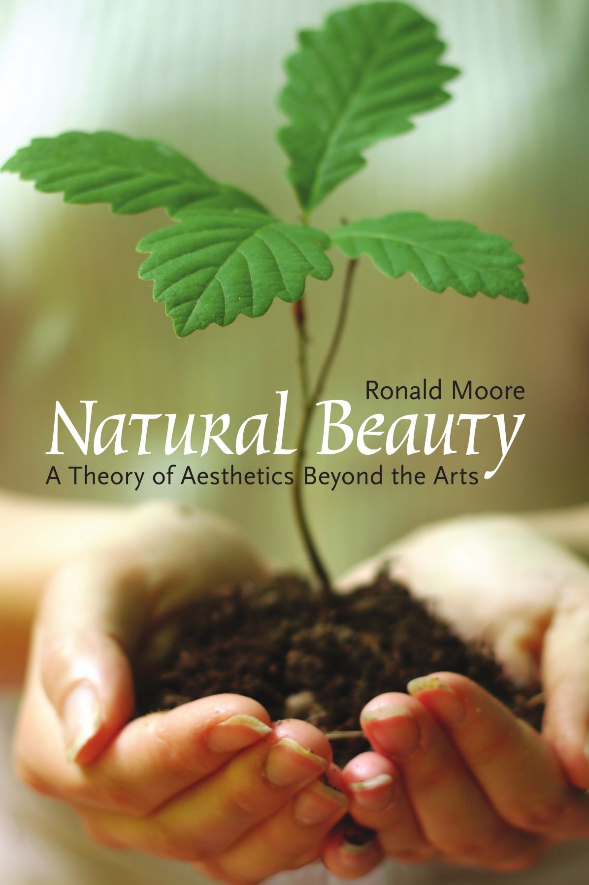 Natural Beauty : A Theory of Aesthetics Beyond the Arts