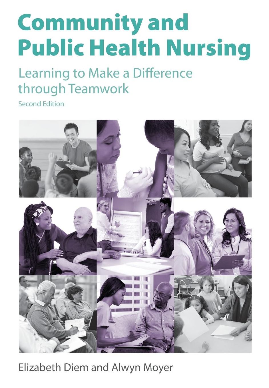 Community and Public Health Nursing, 2nd Edition