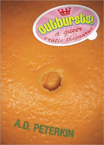 Outbursts!: A Gay and Lesbian Erotic Thesaurus