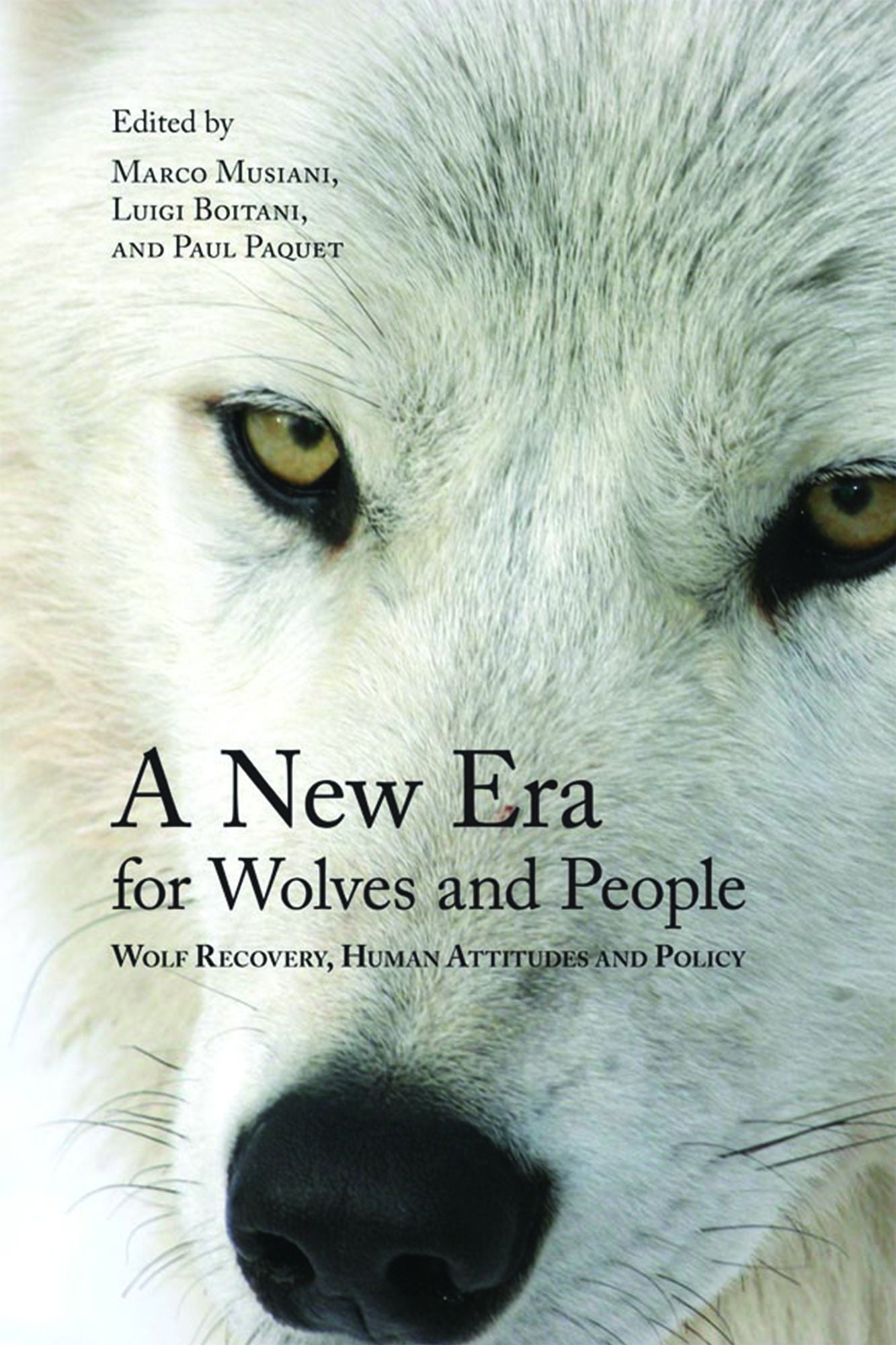 A New Era for Wolves and People: Wolf Recovery, Human Attitudes, and Policy