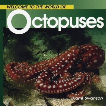 Octopuses