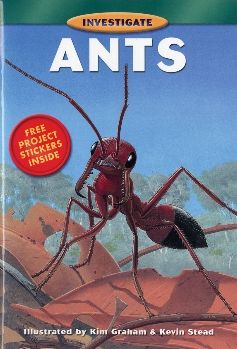 Ants