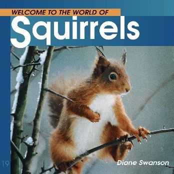 Squirrels