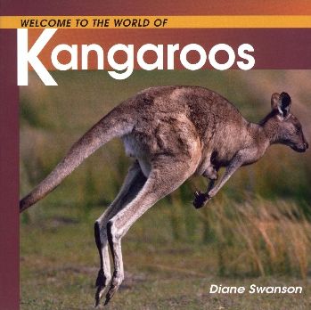Kangaroos