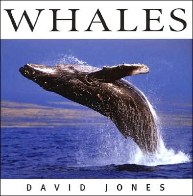 Whales