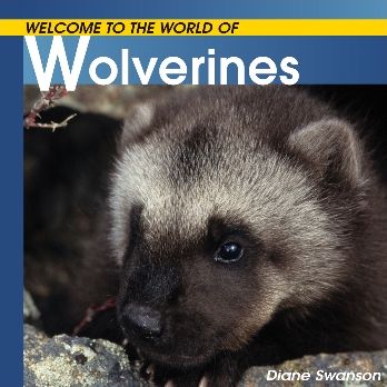 Wolverines