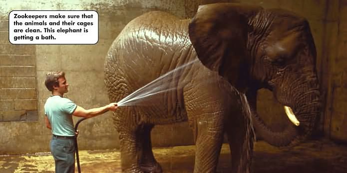 I Want To Be A Zookeeper