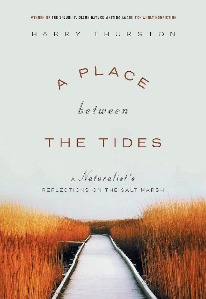 A Place Between the Tides: A Naturalist's Reflections on the Salt Marsh
