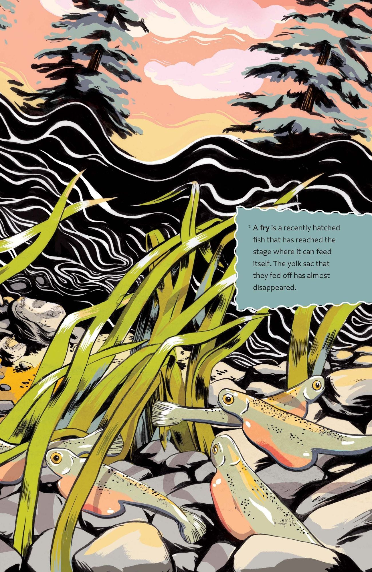 The Sockeye Mother
