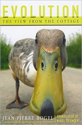 Evolution: The View from the Cottage