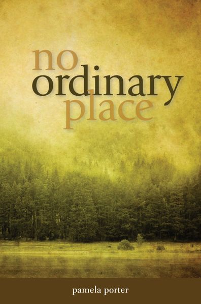 No Ordinary Place
