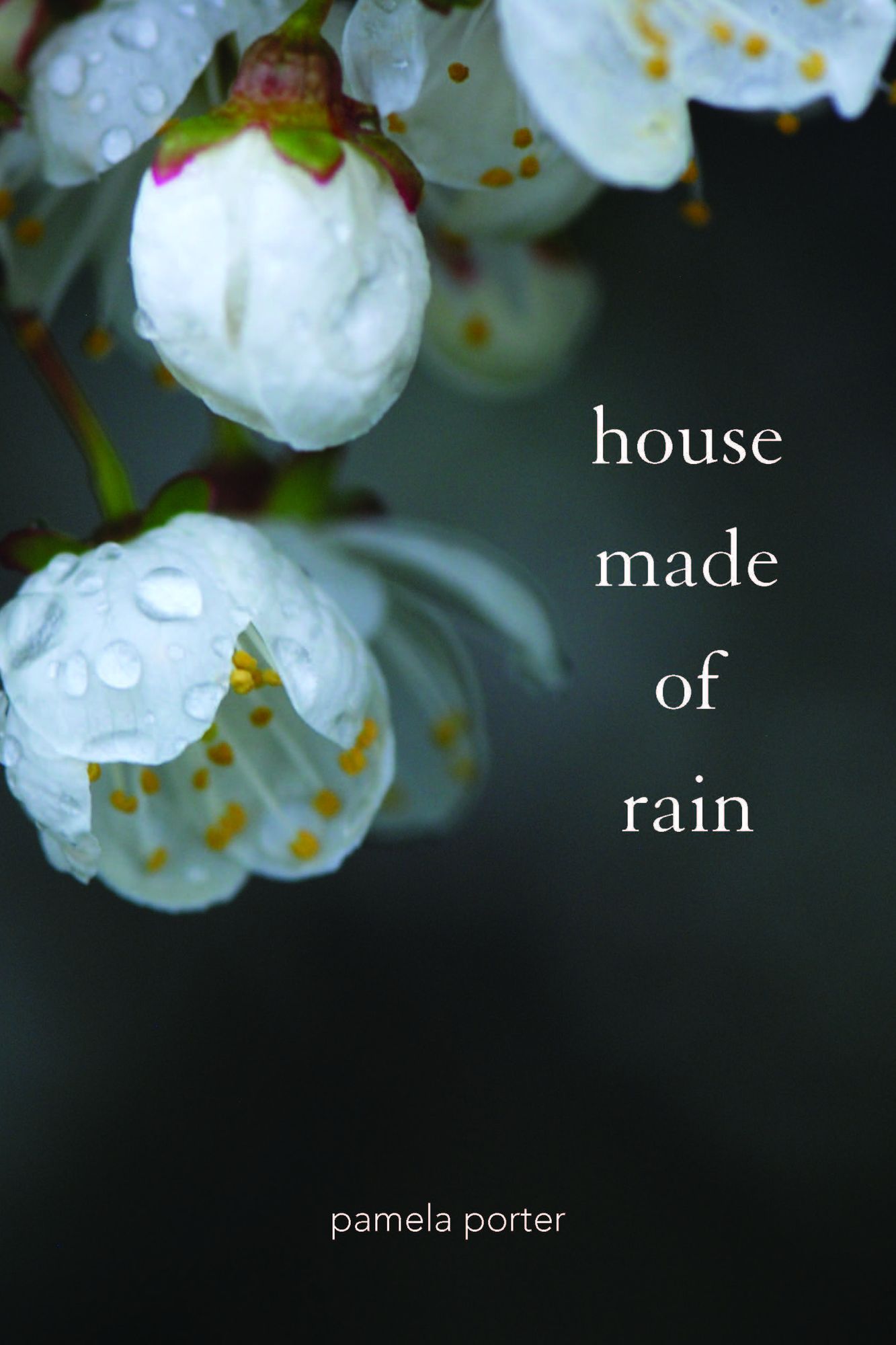 House Made of Rain