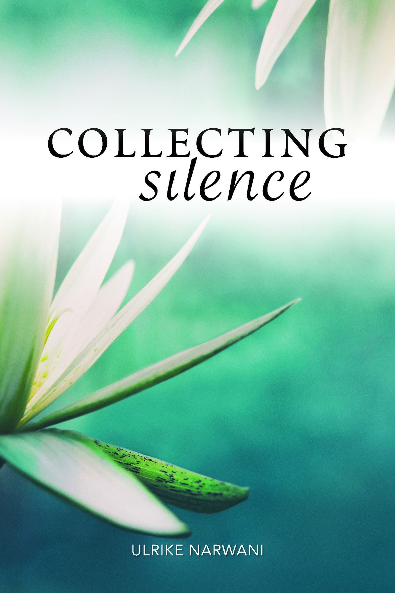 Collecting Silence