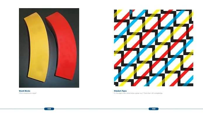 Optical Illusions: The Science of Visual Perception