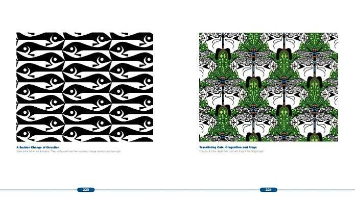 Optical Illusions: The Science of Visual Perception