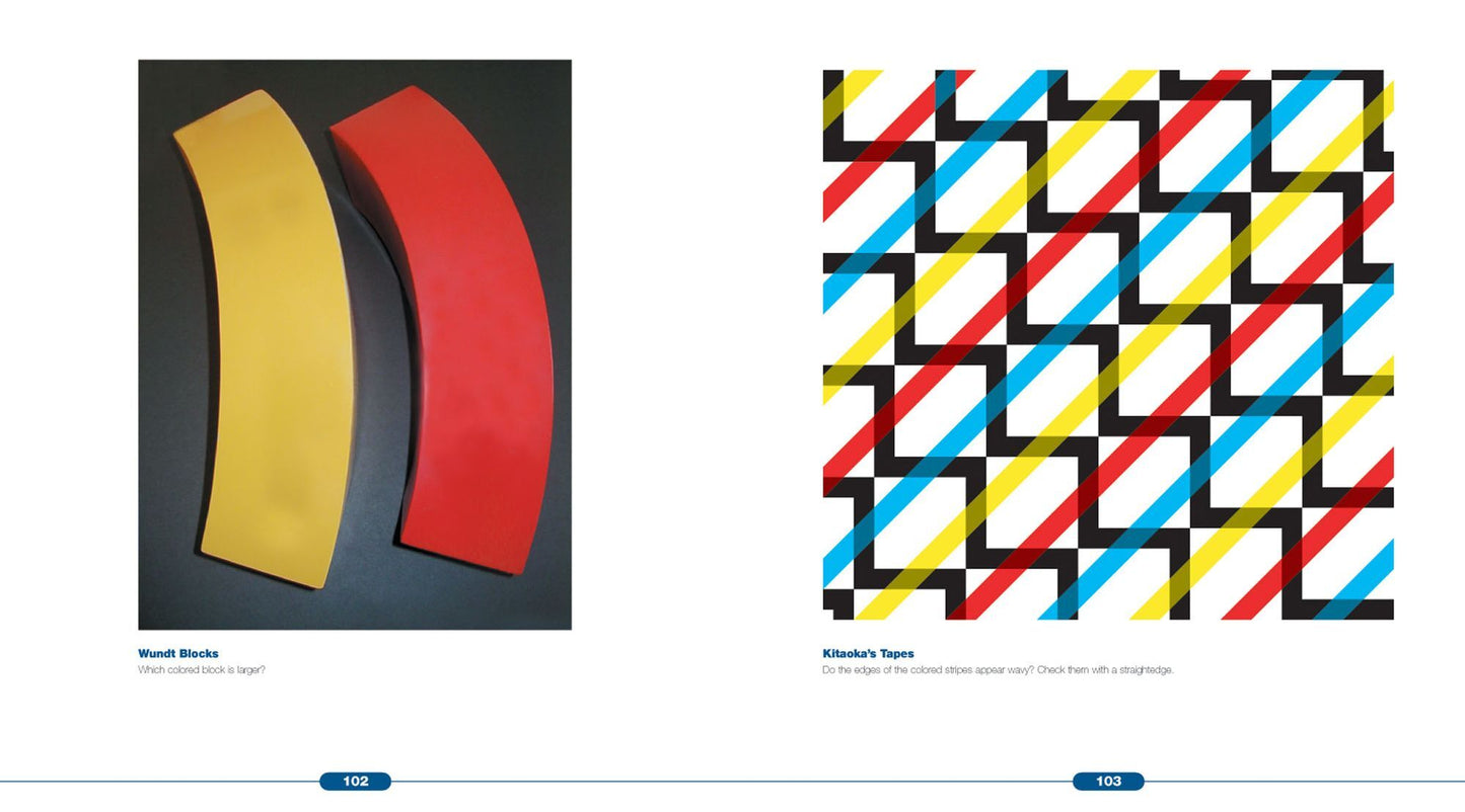 Optical Illusions: The Science of Visual Perception