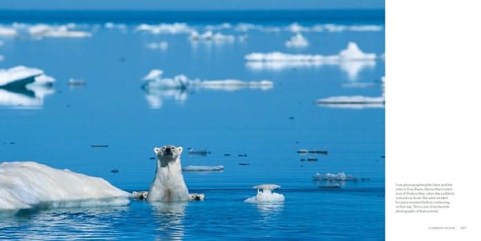 The World of the Polar Bear