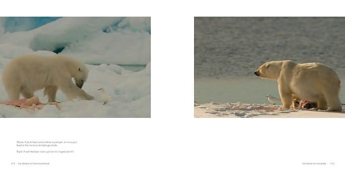 The World of the Polar Bear