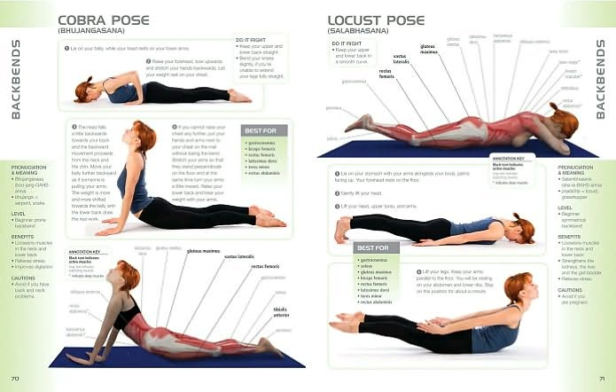 Anatomy of Yoga: An Instructor's Inside Guide to Improving Your Poses