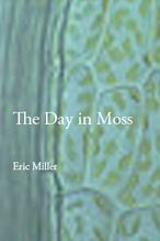 Day in Moss