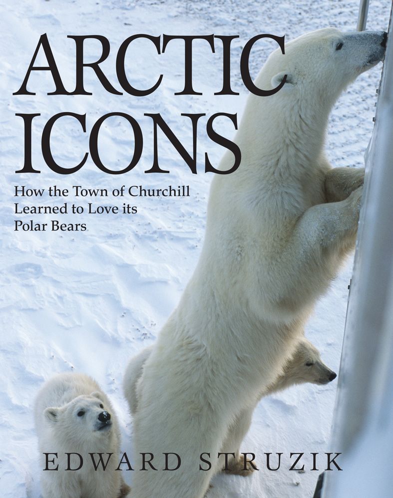 Arctic Icons: How the Town of Churchill Learned to Love its Polar Bears