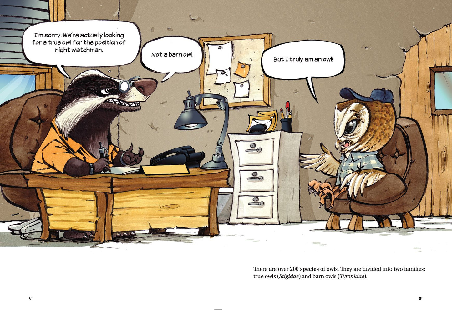 Do You Know Owls?