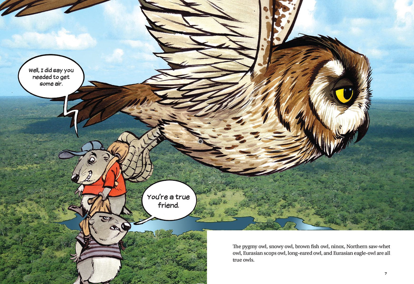 Do You Know Owls?