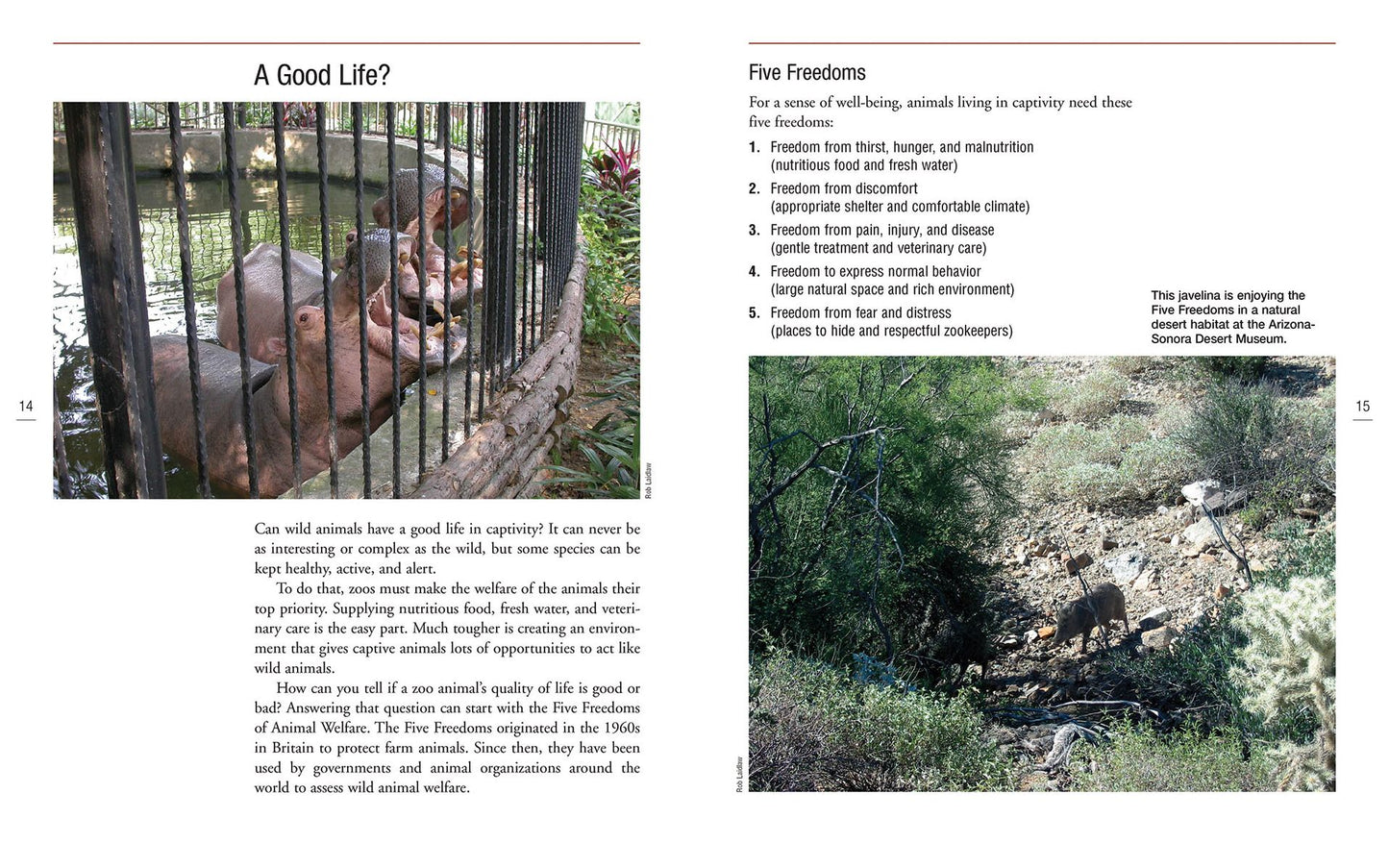 Wild Animals in Captivity
