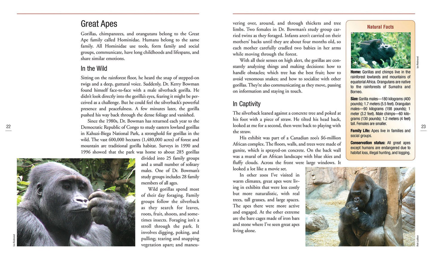 Wild Animals in Captivity