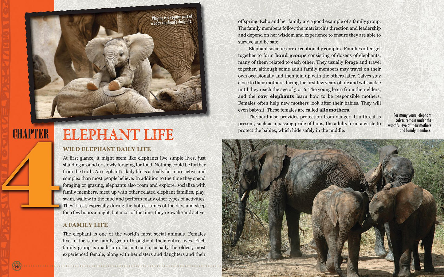 5 Elephants (5 Animals Series #1)
