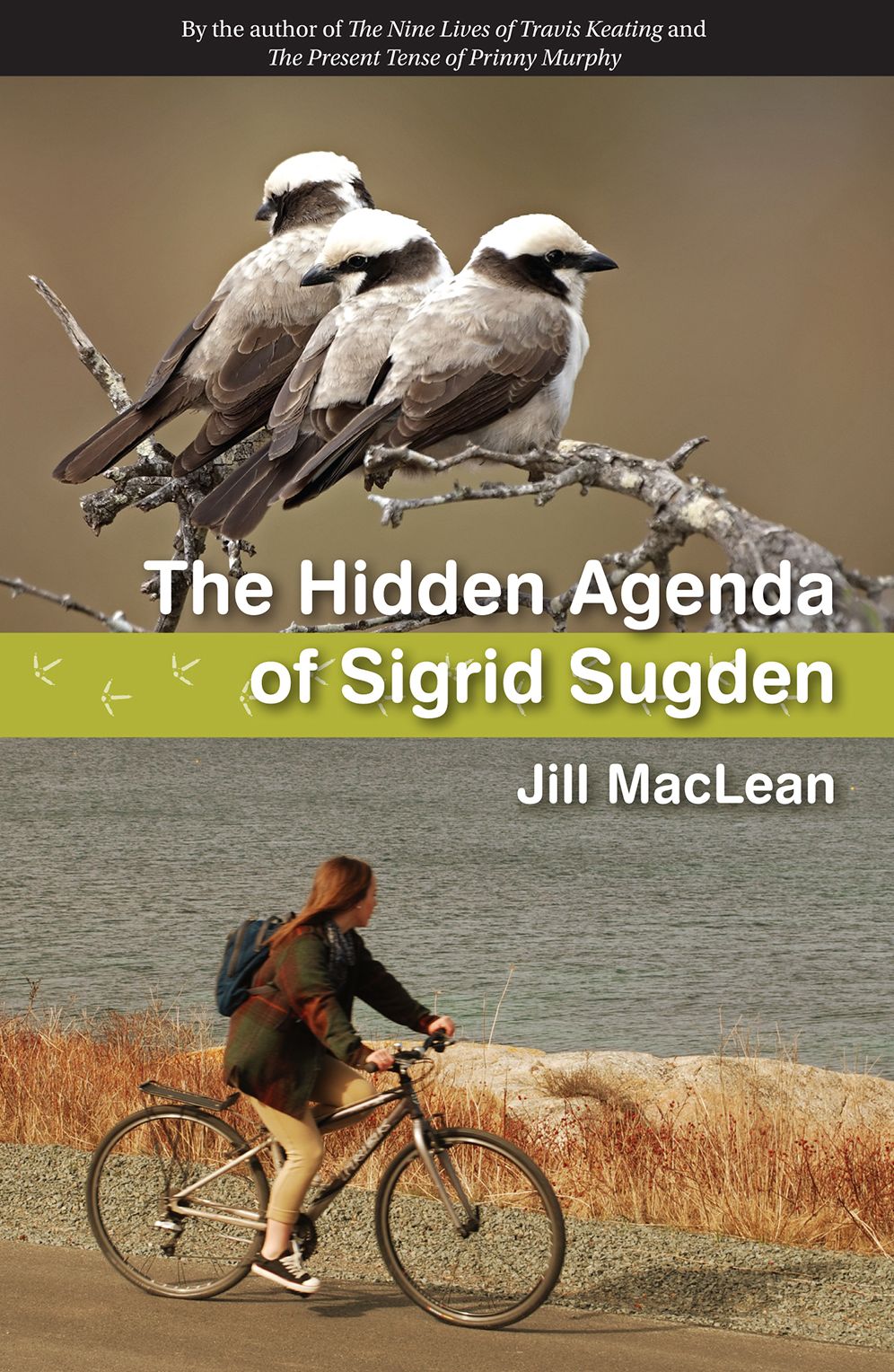 The Hidden Agenda of Sigrid Sugden