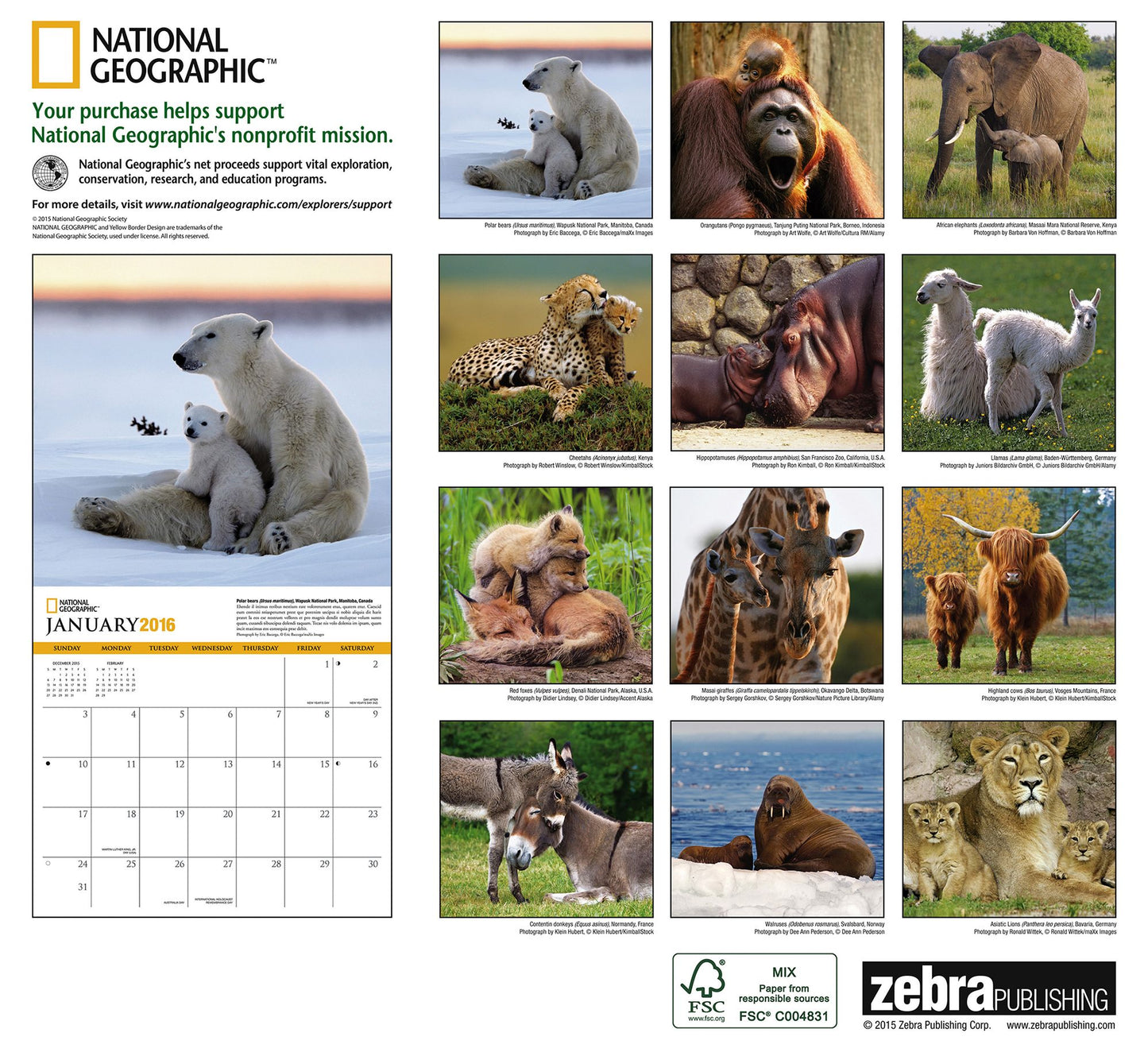 2016 Animal Moms Wall Calendar