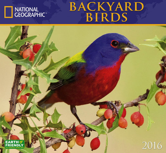 2016 Backyard Birds Wall Calendar