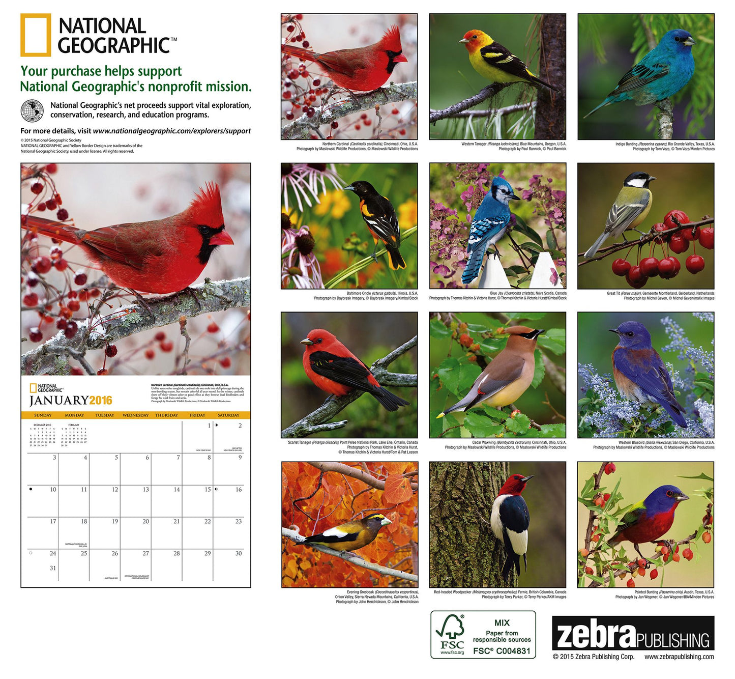 2016 Backyard Birds Wall Calendar