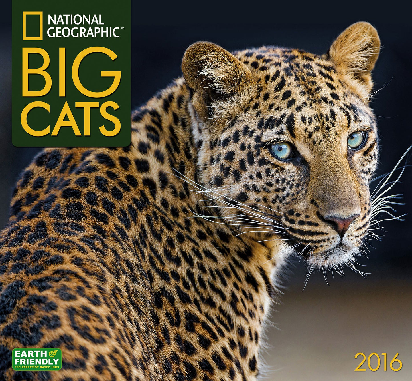 2016 Big Cats Wall Calendar