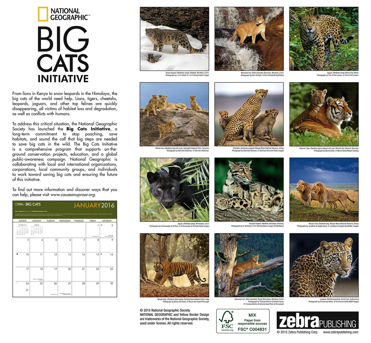 2016 Big Cats Wall Calendar