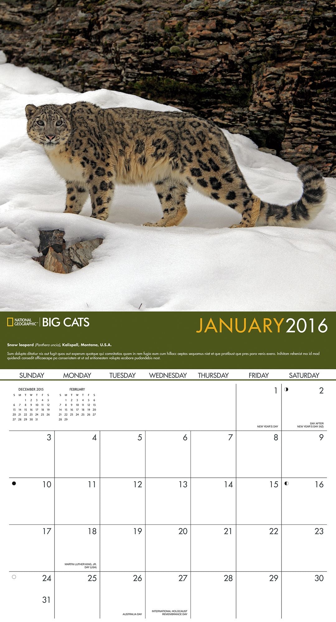 2016 Big Cats Wall Calendar
