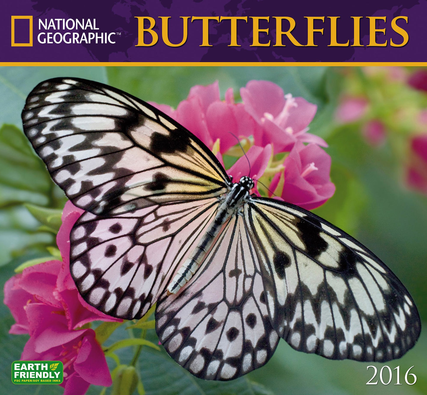 2016 Butterflies Wall Calendar