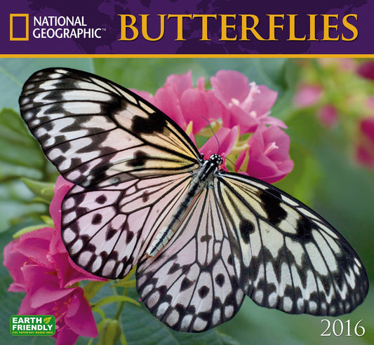 2016 Butterflies Wall Calendar