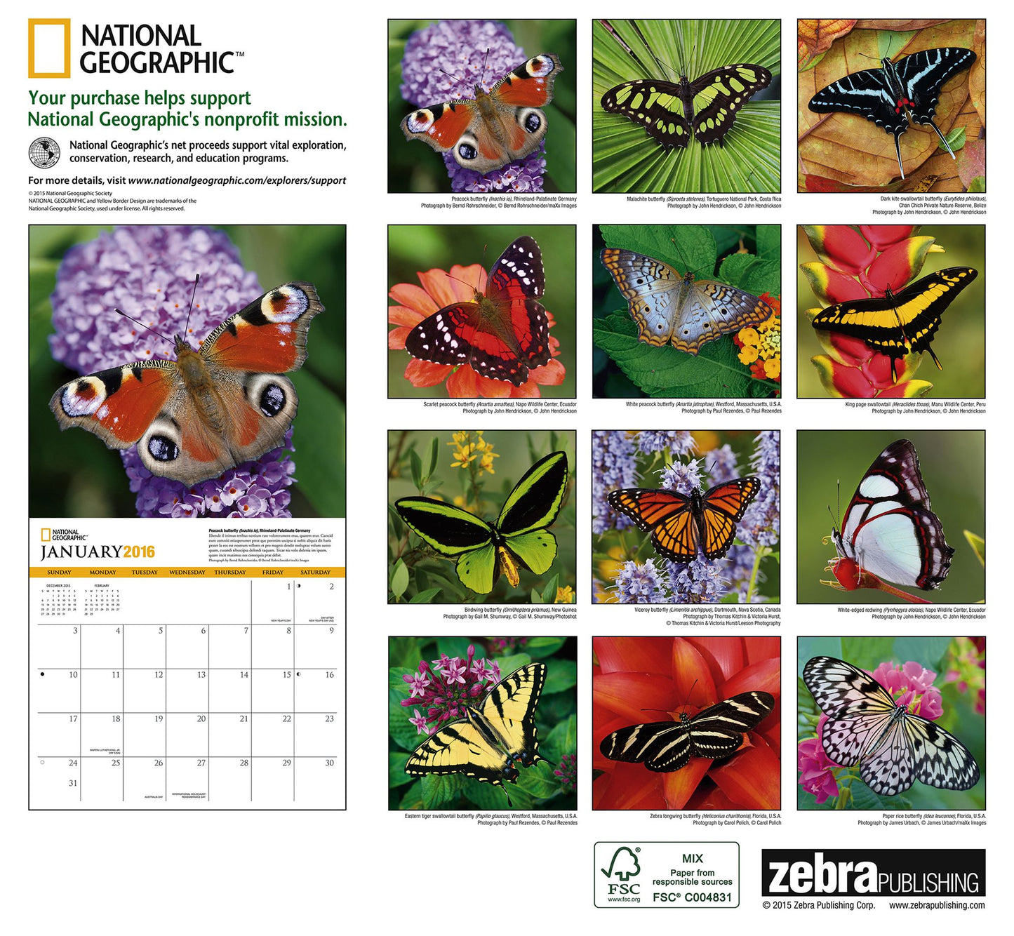 2016 Butterflies Wall Calendar