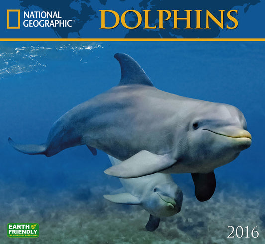 2016 Dolphins Wall Calendar