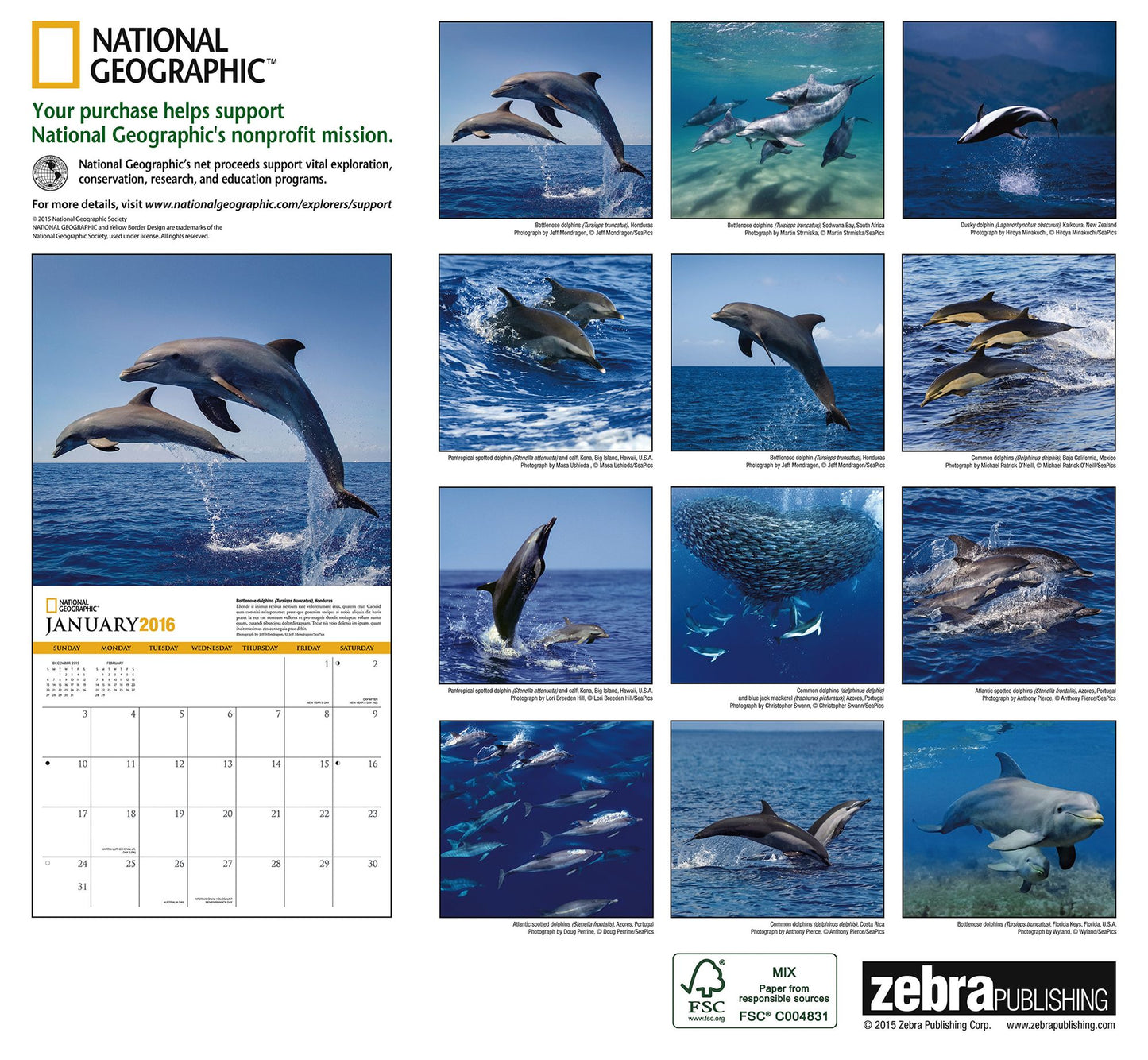 2016 Dolphins Wall Calendar