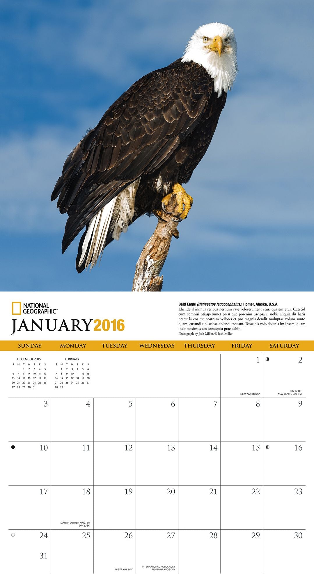 2016 Eagles Wall Calendar