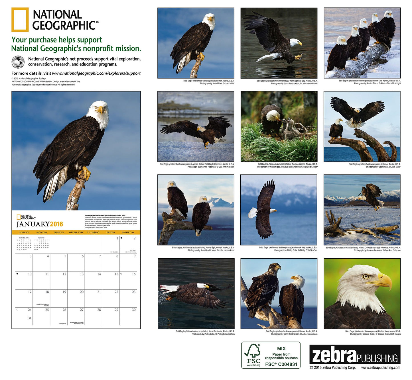 2016 Eagles Wall Calendar