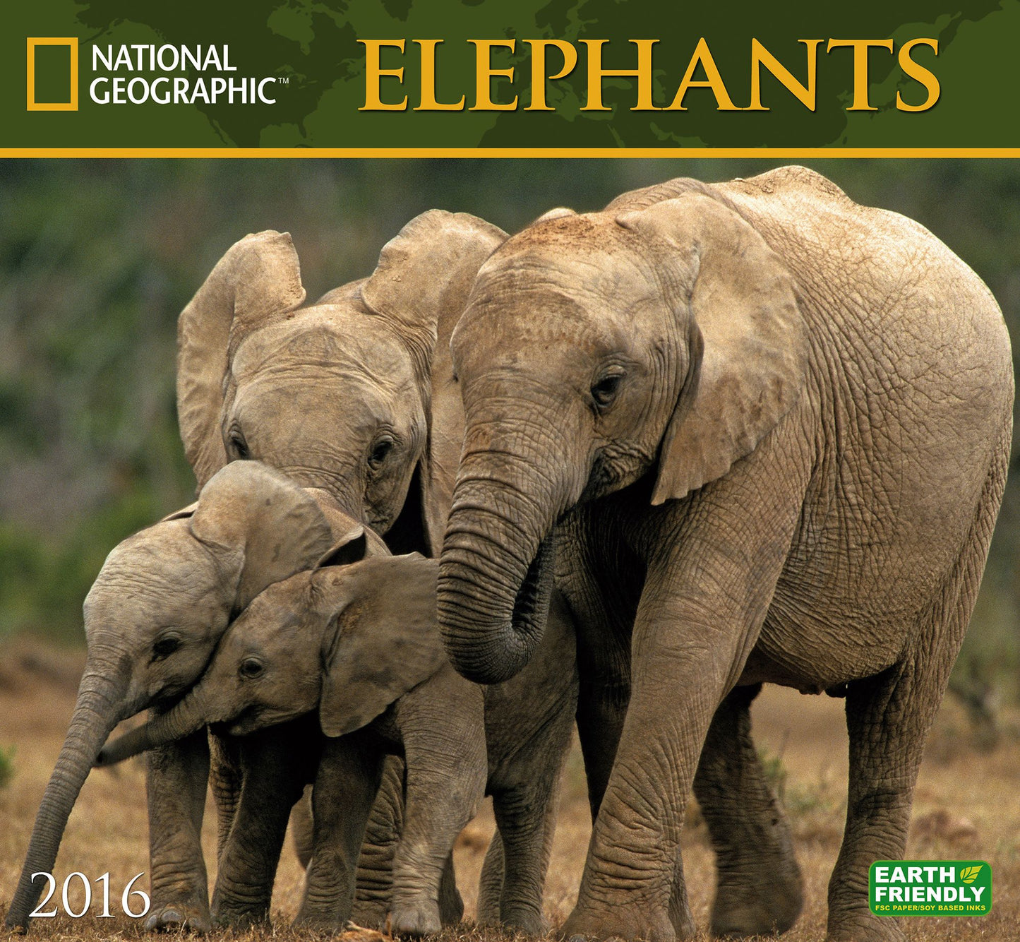 2016 Elephants Wall Calendar